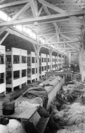 ARCHIWUM PANSTWOWEGO MUZEUM w OSWIECIMIU2