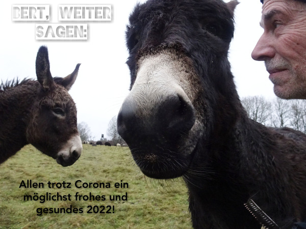 20220101_frohes-gesundes-2022_600