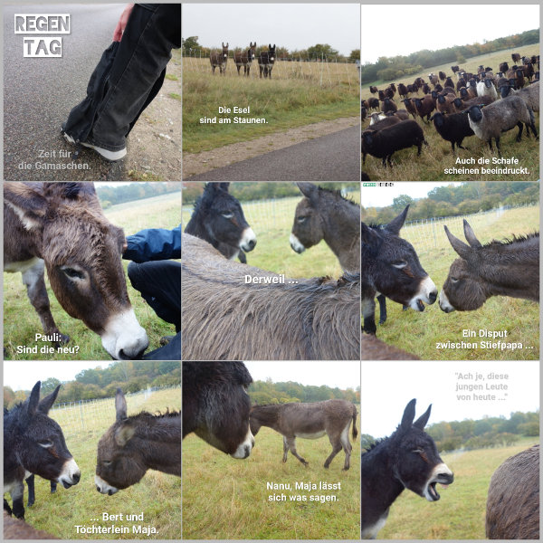 20251010_regentag_600