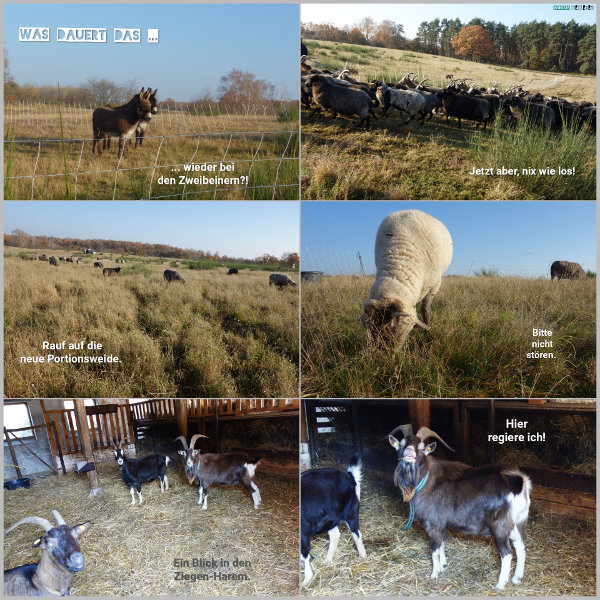 20251107_was-dauert-das_600