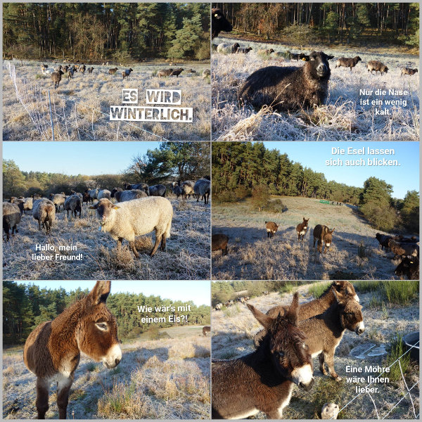 20251121_es-wird-winterlich_600