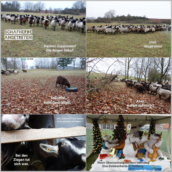 20251128_hacken-zusammen_600