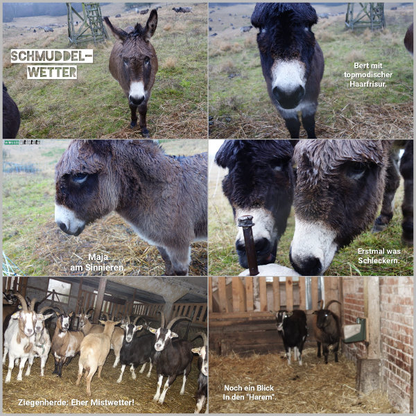 20251205_schmuddelwetter_600