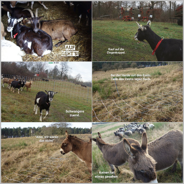 20251218_auf-gehts_600 20251218_auf-gehts_600