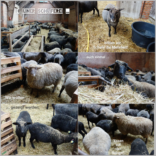 20260116_wir-sind-die-namensgeber_600