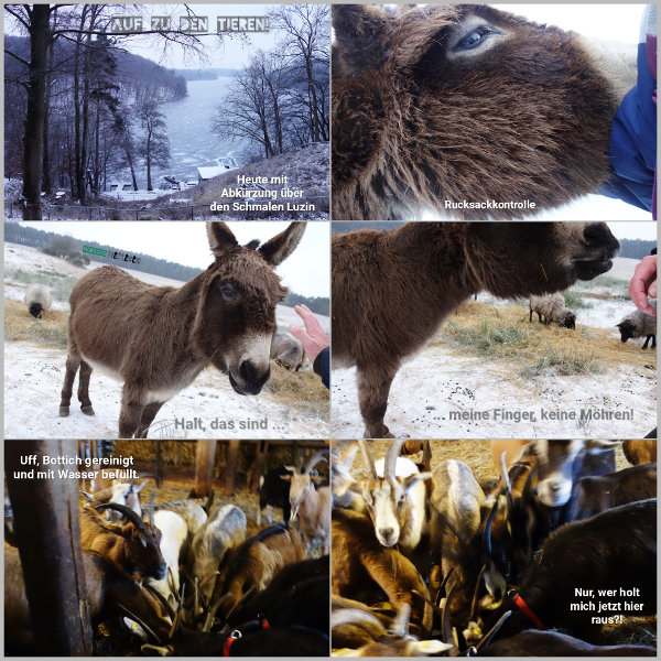 20260130_auf-zu-den-tieren_600
