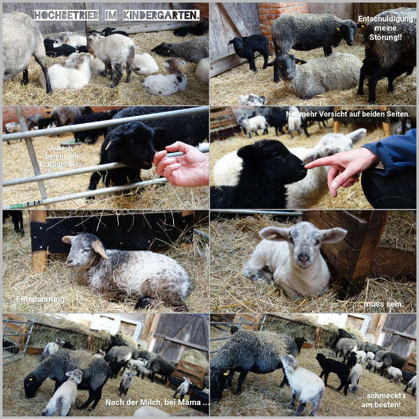 20260313_hochbetrieb-im-kindergarten_600