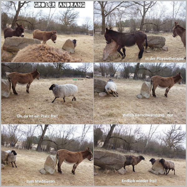 20260327_grosser-andrang_600